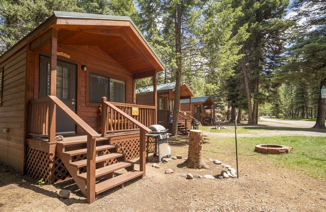 The Willows Cabin #7