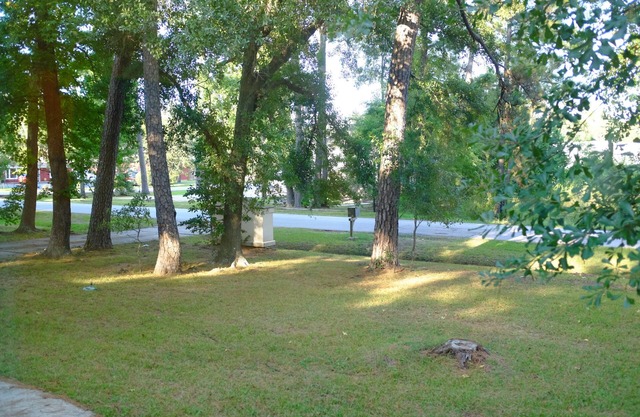 The Woodlands Superb Location, peaceful nature Guest Suite