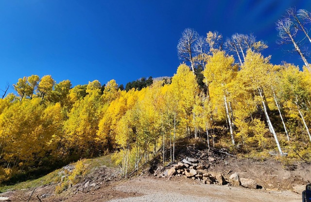 There's GOLD in Them Thar Hills