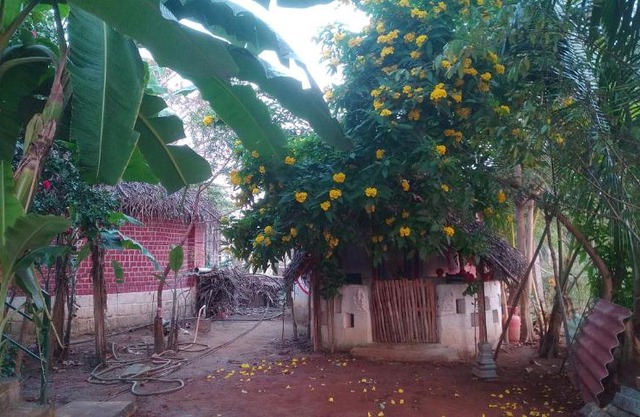 Thiru Nakshatra Family Guest House