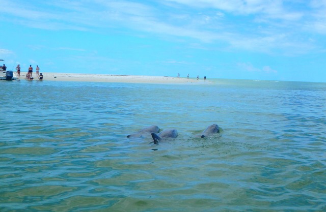 This charming resort is in enchanting Marco Island with AC, WiFi, and 2 TVs