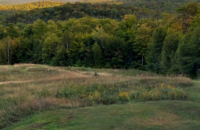 Timber-frame home on 96 acres with view of White Mountains