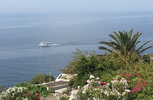 Tinos Agios Sostis Beach Villa Filippos fivemin walk to the beach Pet Allowed