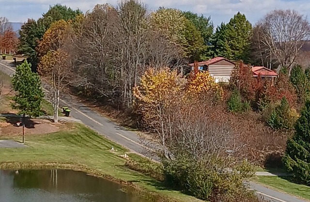 Tiny cabin with access to pond,hot freshwaterAC right off the Blue ridgeparkway