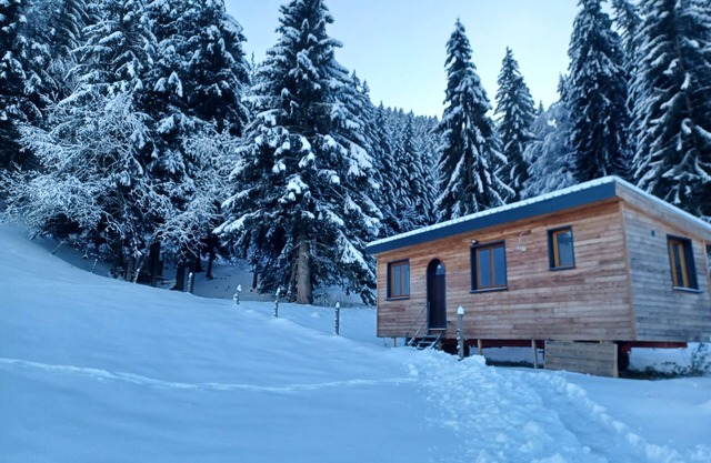 Tiny House in Méaudre in the heart of nature (Vercors plateau)