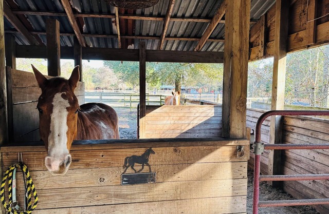 Tiny house 1 bedroom on 12 Acre horse farm