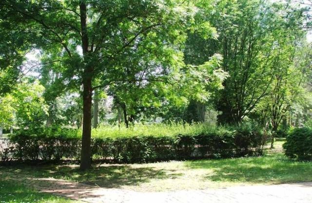 Tisza Sport Hotel