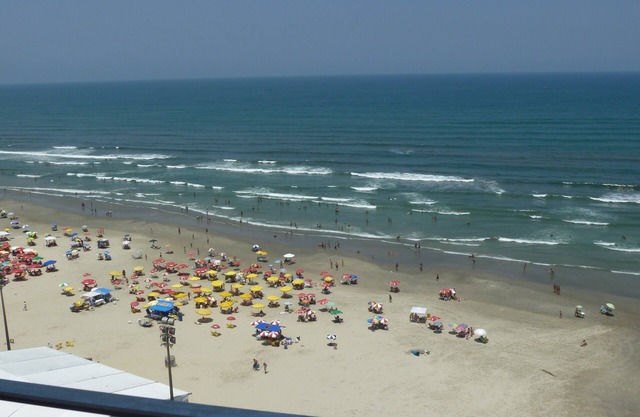 Total view of the sea and the sunset. With a protective screen!