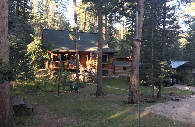 Towering Pines Cabin