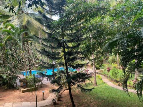 Tranquil Stay, Garden Estate - Palolem 1BHK Flat