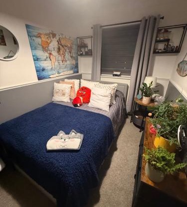 Traveler Nest