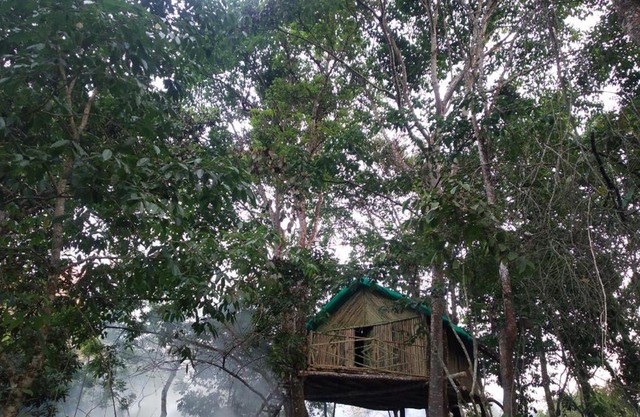 Tree top bamboo cottage kodai
