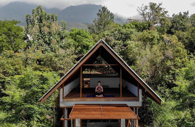 Treehouse Chalets