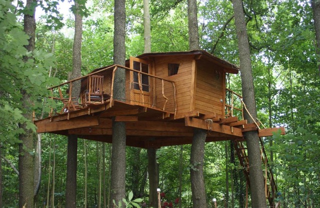 Treehouse v Brdech