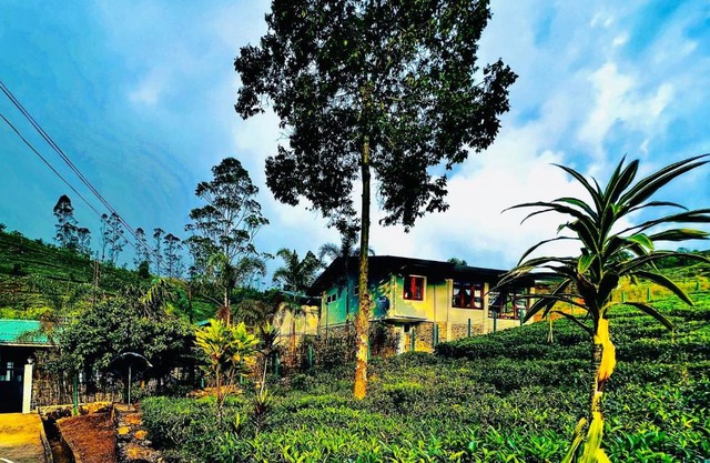 Trinitons River side villas
