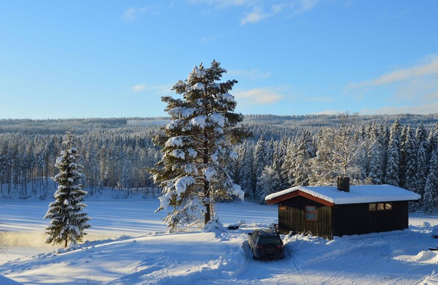 Trysil Hyttegrend