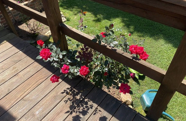 Turner Family Home❤️10 min to Black Mtn-5⭐️relaxing getaway-25min to Aville