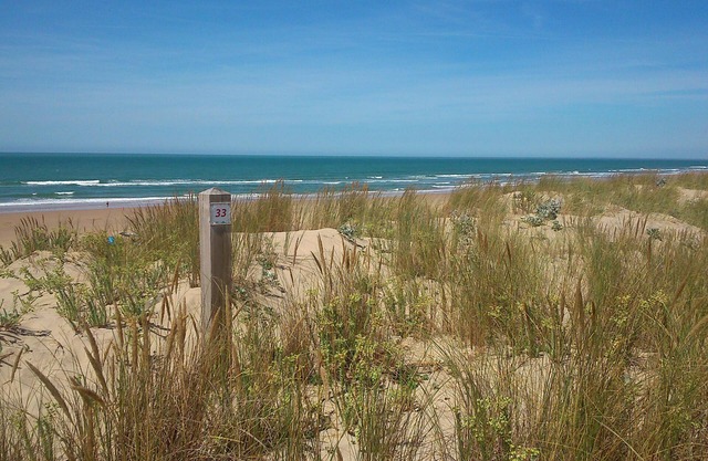 Typical Charentais house, 10 minutes from the sea, market and cycle path.