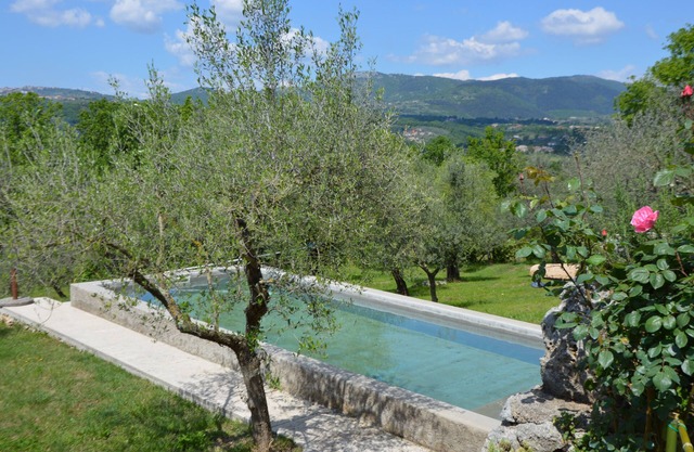 Ulivo-Aia le Monache-3 apartments with swimming pool and large garden