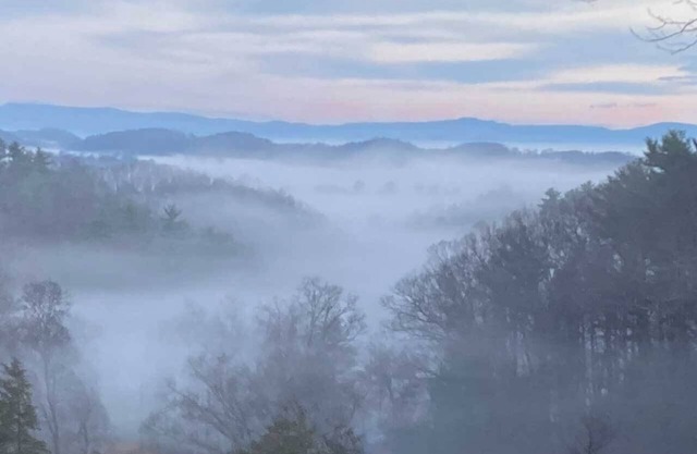 Unique 4 ac. private country estate, stunning views, 1/4 mile to Va. Creeper!
