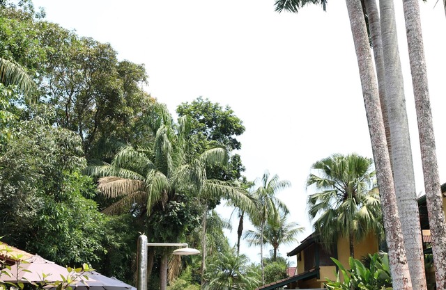 UNMISSABLE CARNIVAL PACKAGE! THE IDEAL PLACE FOR YOUR FAMILY TO RELAX