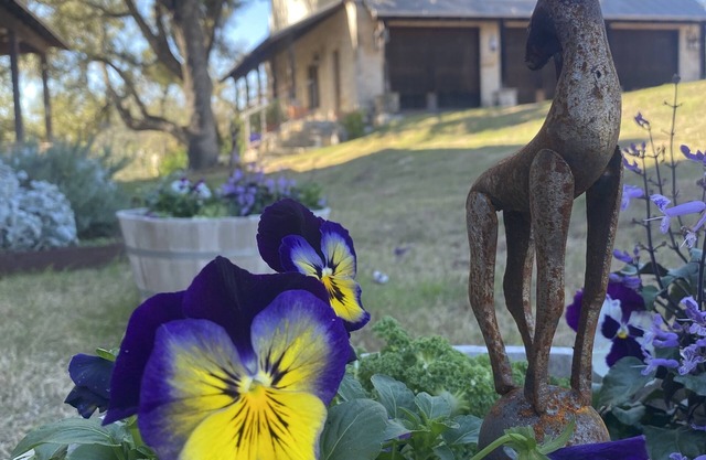 V700 Ranch: Guesthouse. Outstanding Views with Absolute Peace and Tranquility!