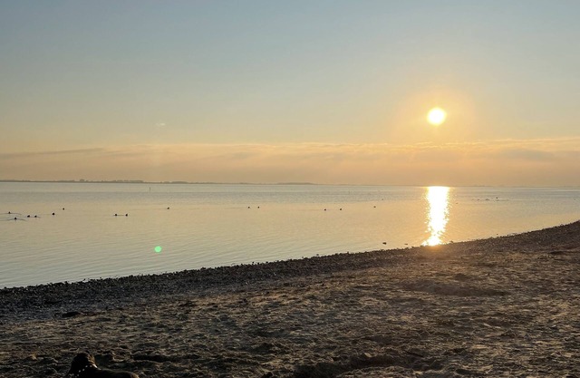 Vacation home in Holland 250 m to sea dog sauna fenced