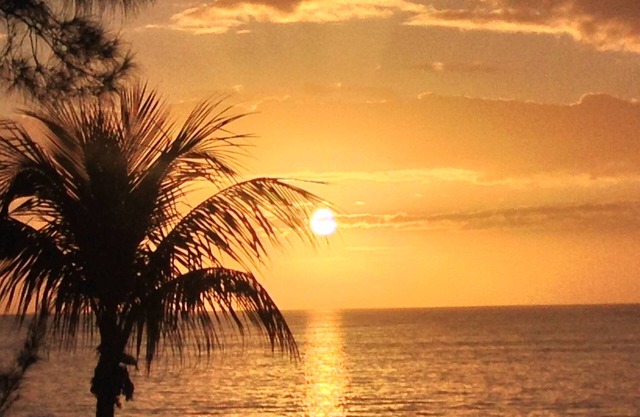 Vacation in paradise in Villa 607