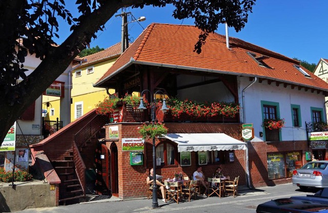 Vaskó Panzió Borpince