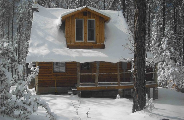 Very Private Horse Friendly Dog Friendly Cabin in the Pines