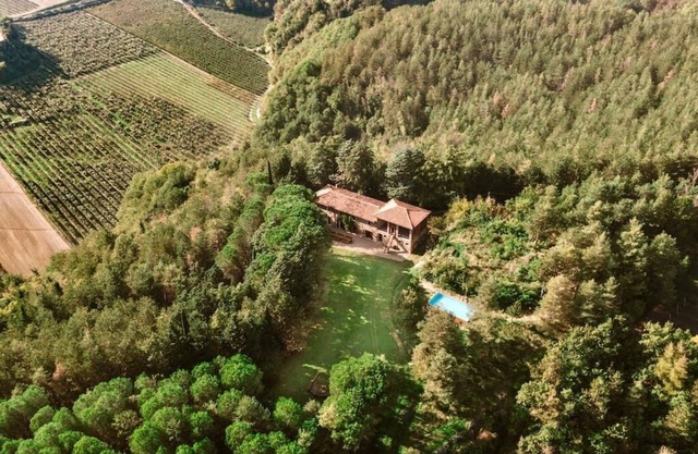 Vidovina: Forest Farmhouse with Pool