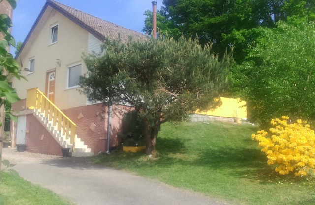 View of the mountains on the edge of the forest, 15km from Gérardmer & La Bresse.