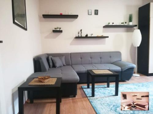 Viki Apartment CENTAR