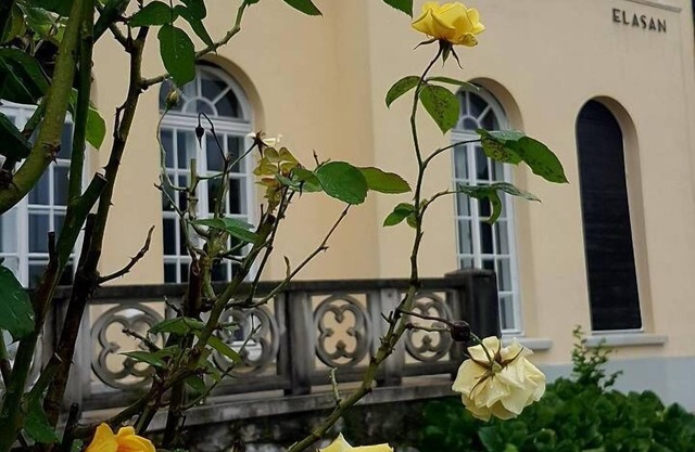 Vila Elasan is a unique family villa on the quiet side of the Lake Bled