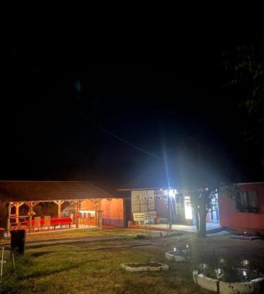 Vila Vida