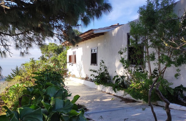 Villa de Mensa - Traditional canarian farmhouse