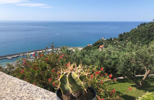 Villa Degli Ulivi B&B