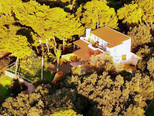 Villa Hermes