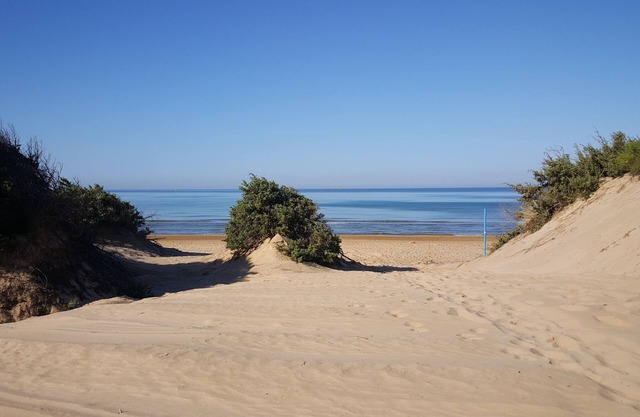 Villa on the sea and the dunes