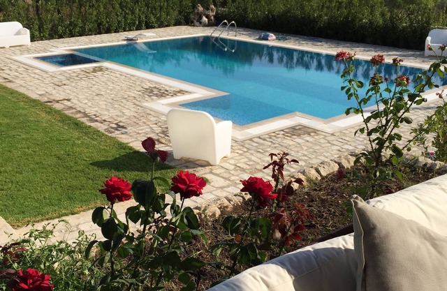Villa Paradiso surrounded by green olive trees of olive and carob