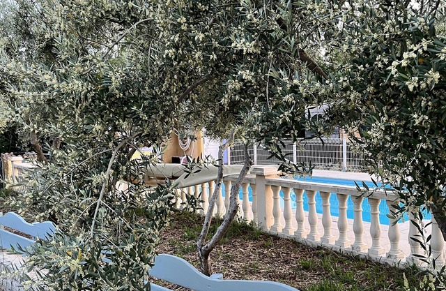 Villa swimming pool quiet view Ventoux and vineyards 4/6/8 pers