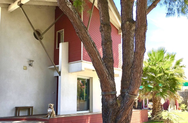 Villa T3 + chalet on 700m2 near the beach