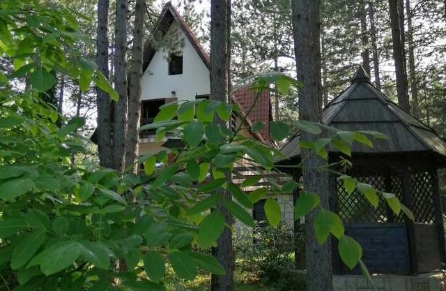 Villa Vera; a cozy house in the mountains