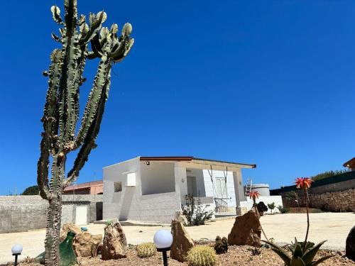 Villa Zaffiro