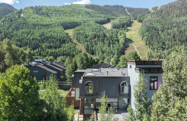 Village Hideaway - Telluride convenience steps to skiing and downtown!