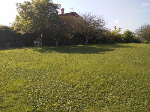vivienda la palmera