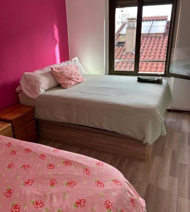 Vivienda rosa barrio húmedo