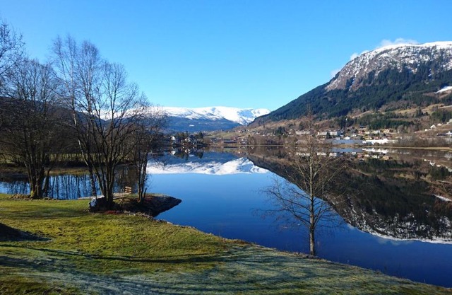 Voss Interlake