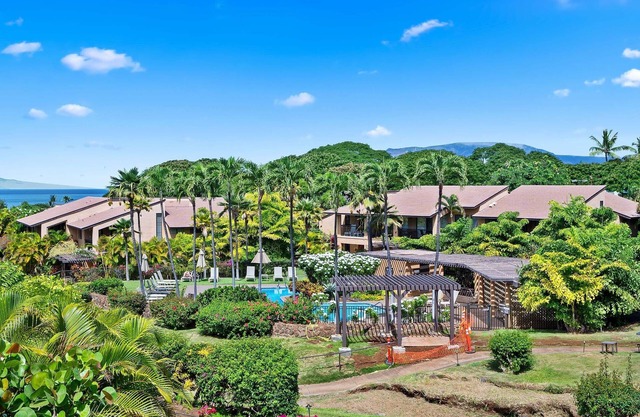 Wailea Ekahi 45D - Ocean & Garden Views, Beautifully Renovated, Split AC, Wi-Fi!