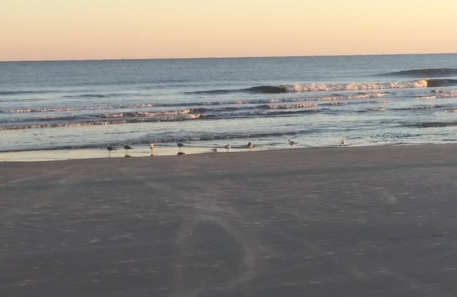 Walk to Beach
